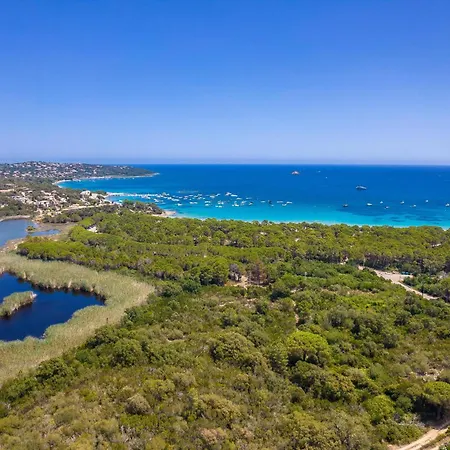 Vitriccia - De Reve, Piscine Et A 7mn A Pied ! Villa Zonza